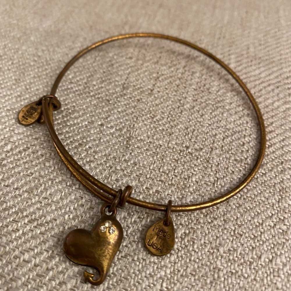 Alex and Ani heart charm expandable Bangle